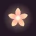 Bloomi icon