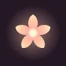 Bloomi icon